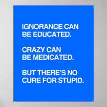 LA IGNORANCIA PUEDE SER EDUCADA POSTER