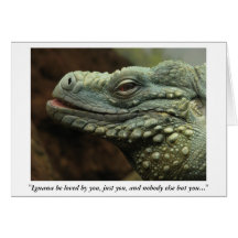 La "iguana sea amada por usted, apenas usted… " felicitaciones