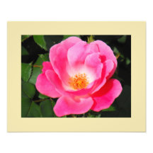 La impresión color de rosa de la bella arte arte con fotos
