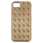 La jirafa del vintage modela el caso del iPhone iPhone 5 Protector