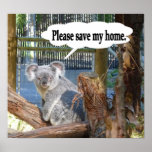 La koala "ahorra por favor mi hogar". impresiones