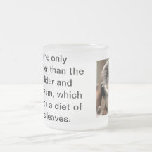 La koala, koala es el único mamífero, con excepció tazas