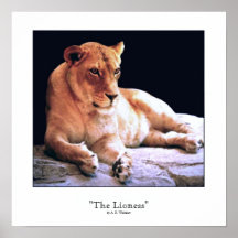 "La leona " Posters