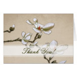 La magnolia de marfil y blanca le agradece cardar felicitaciones