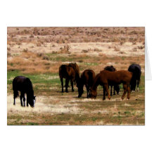 La manada de Remuda pasta - los caballos de la vac Tarjetas