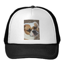 La margarita de la esperanza pasada gorra