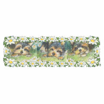 La margarita persigue los perritos de Yorkie Esculturas Fotográficas