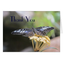 La mariposa azul de las podadoras le agradece card felicitaciones