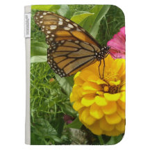 La mariposa enciende la caja