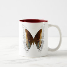 La mariposa entona la taza