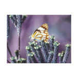 La mariposa Flitter vintage del alboroto Impresiones De Lienzo