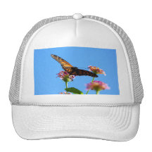 La mariposa lista para saca gorros  