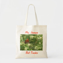 La mejor bolsa de asas del profesor, mariposa, gra