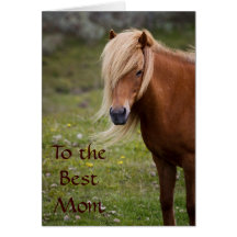 La mejor mamá del caballo islandés tarjetas