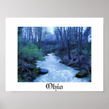 LA NATURALEZA de la impresión de OHIO Poster