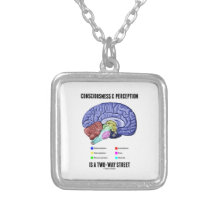 La opinión de la conciencia es un cerebro de la ca collar