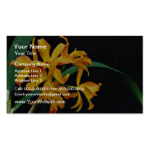 La orquídea Laela, el cattleya, el truco o la invi Plantillas De Tarjetas De Visita