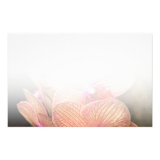 La orquídea - Phalaenopsis - un sistema de belleza Papeleria De Diseño