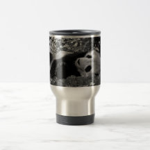 La panda gigante taza de café