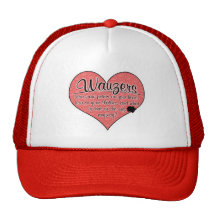 La pata de Wauzer imprime humor del perro Gorra