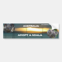 La pegatina para el parachoques ADOPTA una KOALA A Pegatina De Parachoque