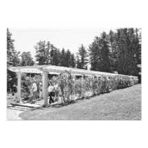 La pérgola del jardín de Yaddo Impresiones Fotográficas