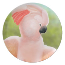 La placa moluqueña rosada del Cockatoo Platos Para Fiestas