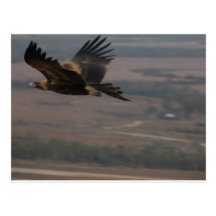 La postal del Flinders se extiende sur de Australi