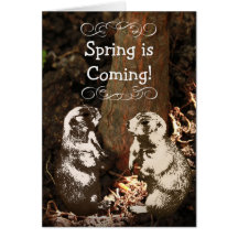 La primavera es tarjeta de felicitación de Groundh