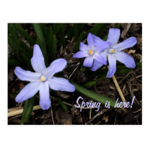 La primavera florece la postal