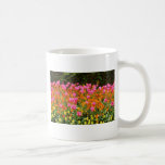 La primavera rosada florece las flores taza de café