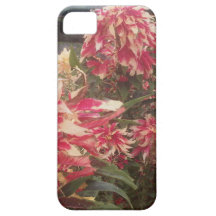 la progresión toxicológica florece la caja del iph iPhone 5 Case-Mate carcasas