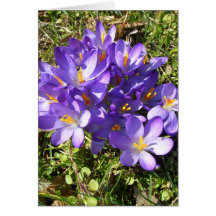 La púrpura delicada florece CricketDiane floral Tarjeta
