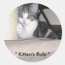 La regla del gatito etiqueta