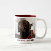 La regla del laboratorio del chocolate tazas de café