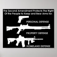 La segunda enmienda protege posters