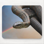 La serpiente y el arco iris alfombrillas de ratón