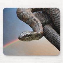 La serpiente y el arco iris alfombrillas de ratón