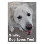 ¡La sonrisa, perro le ama! Tarjeta