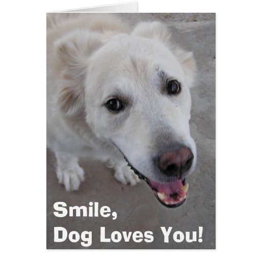 ¡La sonrisa, perro le ama! Tarjeta