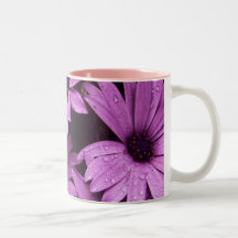 La tarde riega la taza rosada de las flores