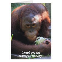 ¡La tarjeta de cumpleaños divertida, orangután qui