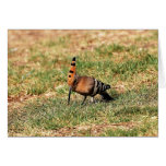 La tarjeta de felicitación del Hoopoe