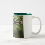 LA TAZA DE LA REFLEXIÓN DE LA VIDA