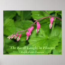 LA TIERRA RÍE EN LAS FLORES - CORAZONES SANGRANTES POSTER