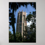 La torre de Bok cultiva un huerto fotografía centr Poster