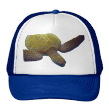 La tortuga se zambulle después de gorra del camion