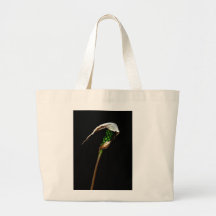 La vara bolsas