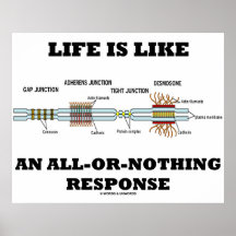 La vida es como una respuesta todo o nada posters