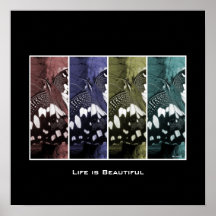 La vida es impresión hermosa/de la mariposa de la  posters